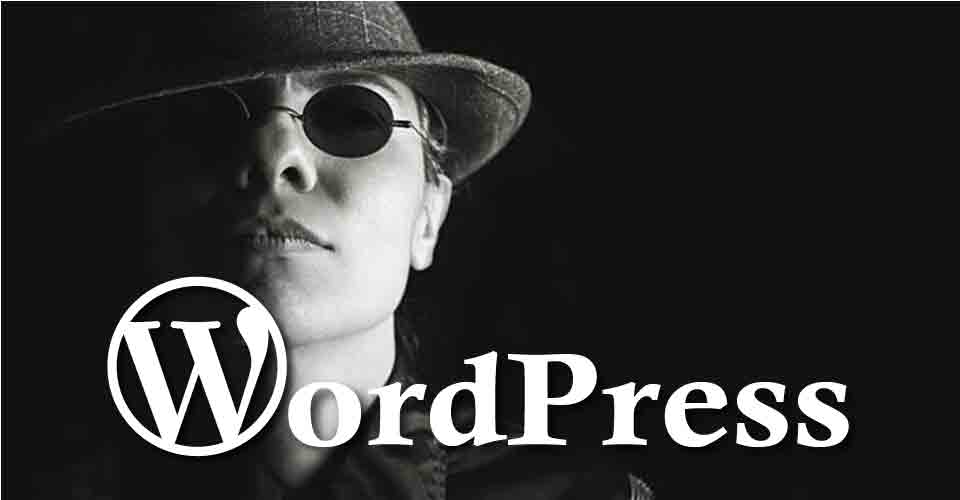 WordPress sorgt für Sicherheit