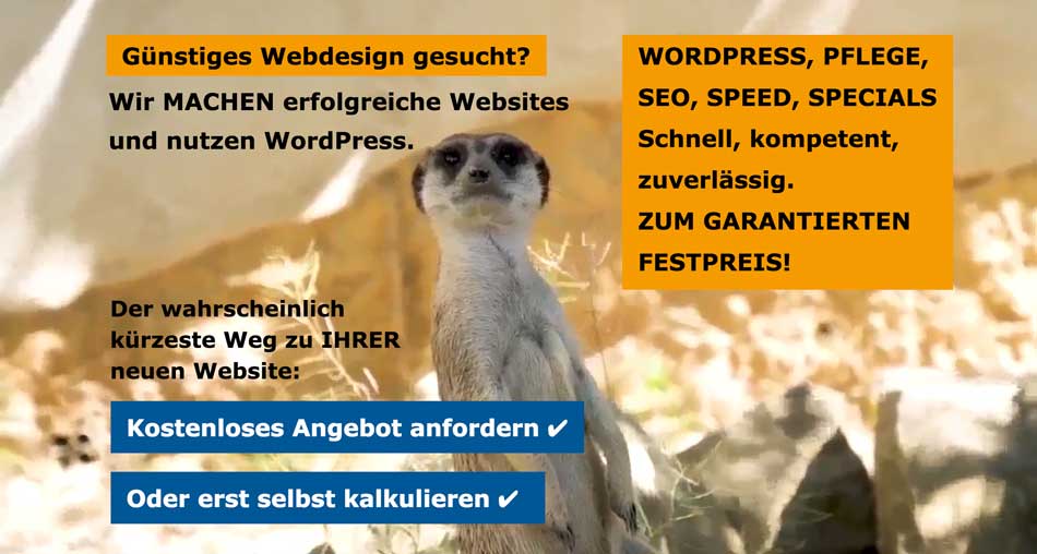 Günstiges Webdesign - WordPress vom Profi